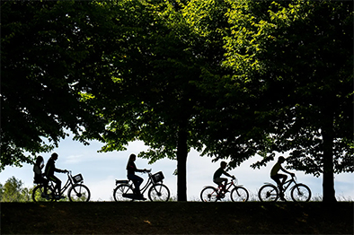 Fietsen in Willemstad